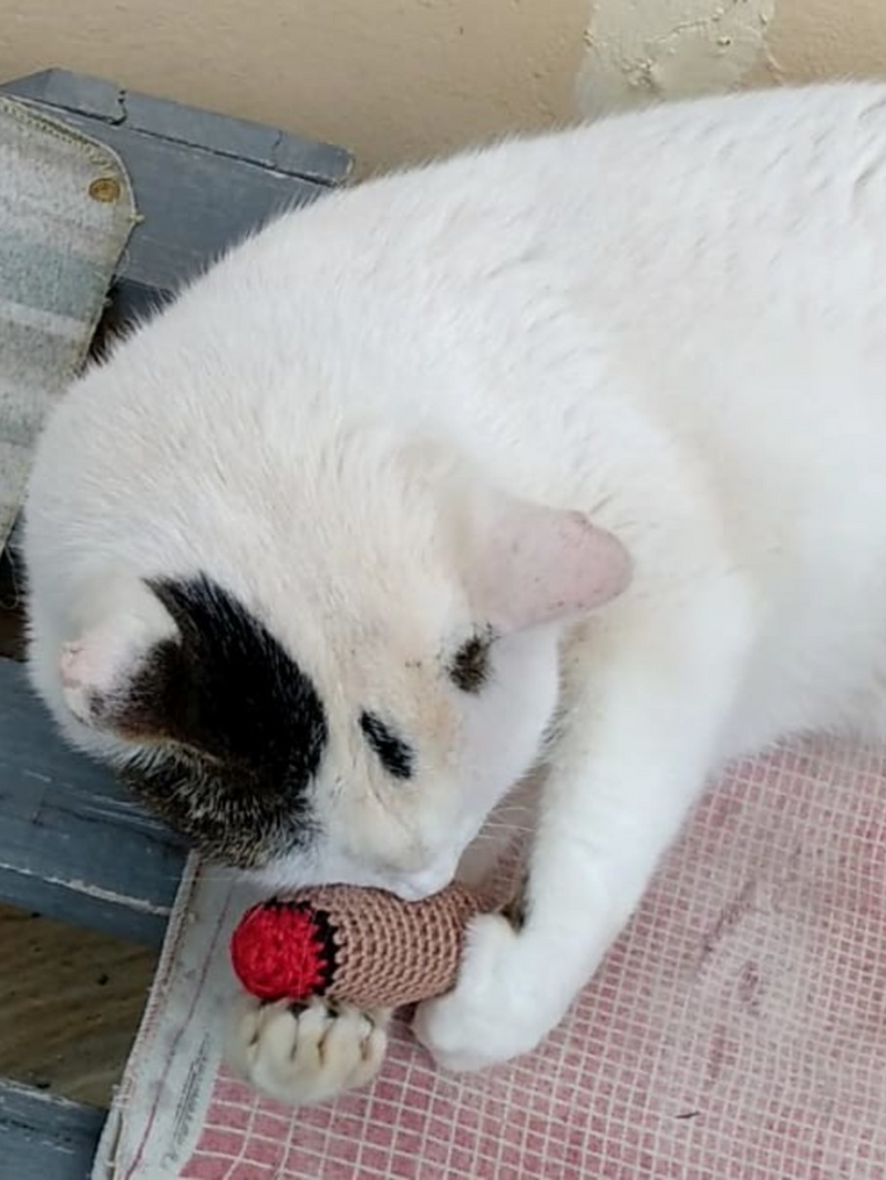 Coxinha e Cigarrinho com Catnip Brinquedo para Gatos Crochê