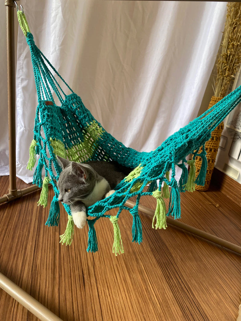 Kit Fofurinha Jade